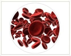 Slider image (3) Intellicell Biosciences, Inc